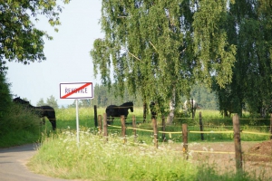 Ustajeni (9)